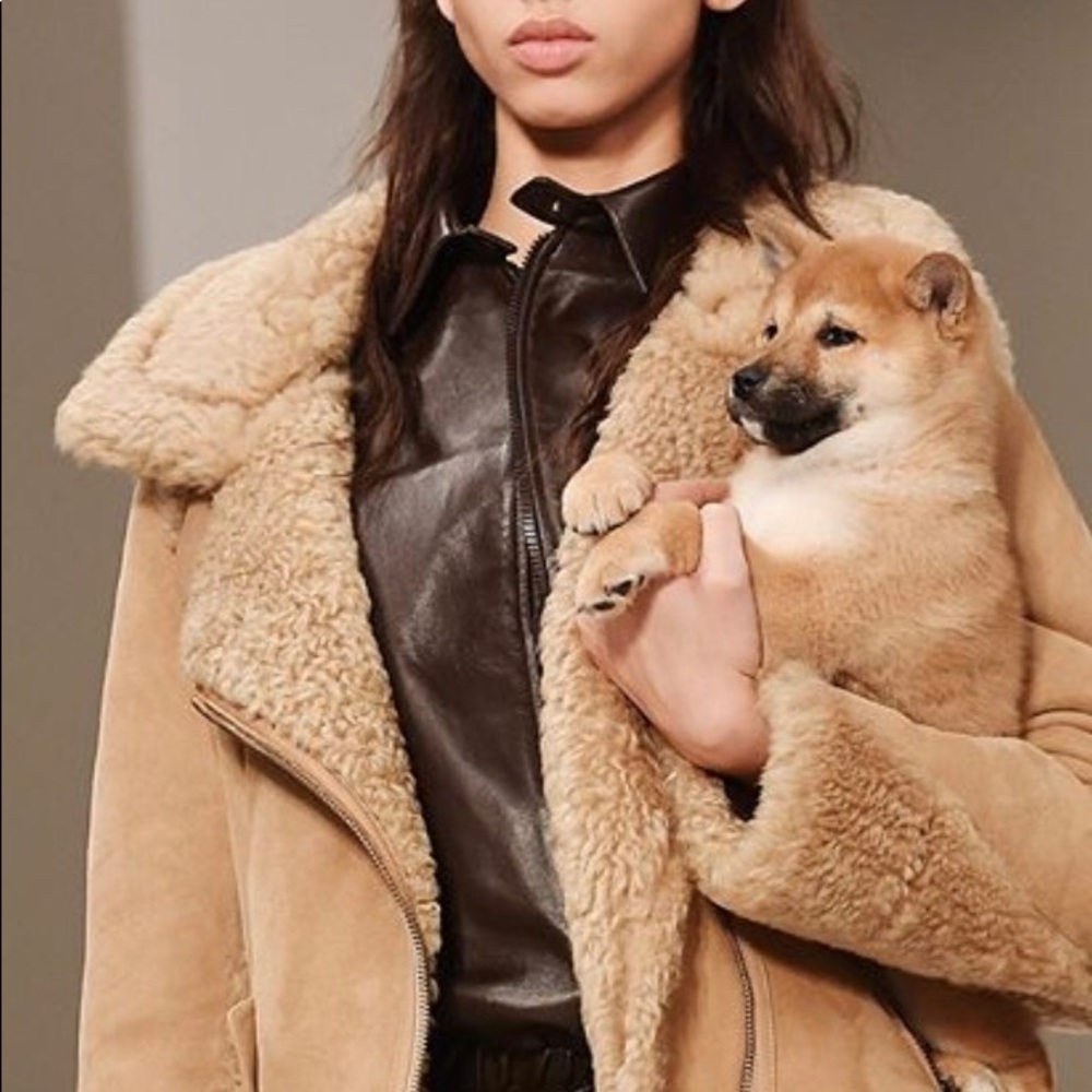 Meet your Posher, Renee